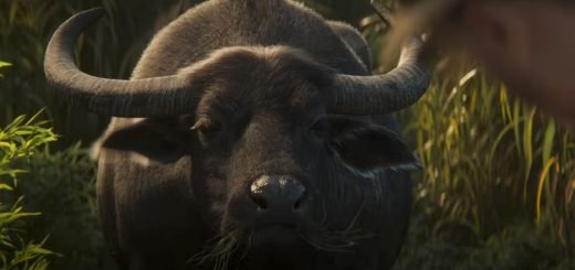 FS25: Buffalo Ranching