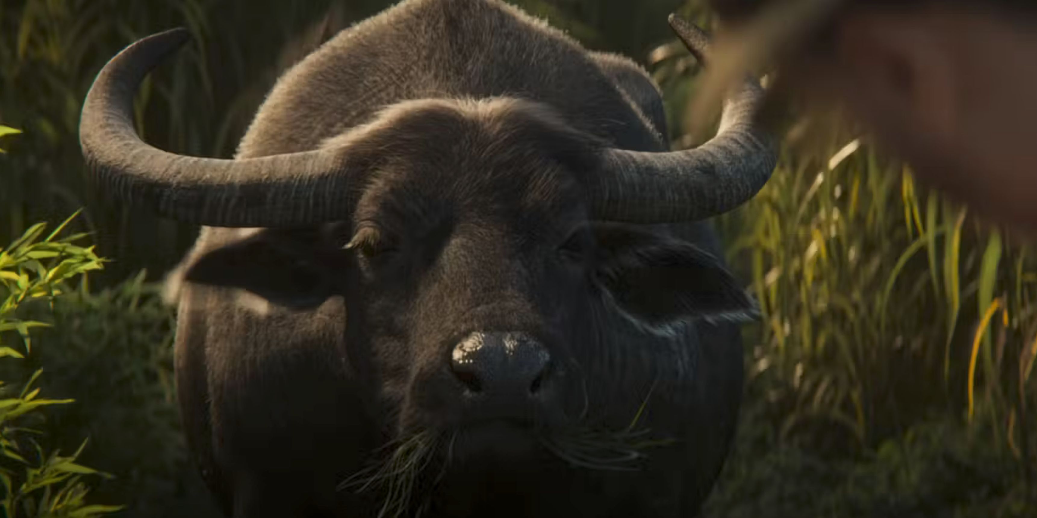 FS25: Buffalo Ranching