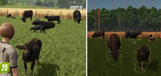 Behind the Scenes of the Farming Simulator 25