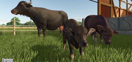 Meet the Water Buffalos: Strong, Social, and Ready for FS25