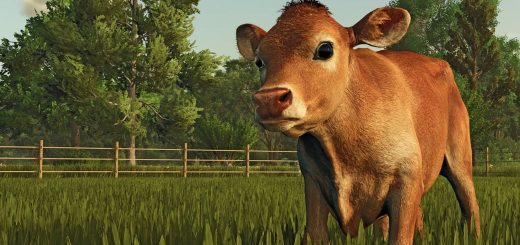 FS25: The Ultimate Animal Care Expansion