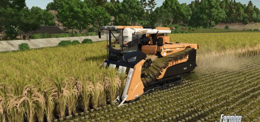 Grain Gains: Rice Cultivation in Farming Simulator 25