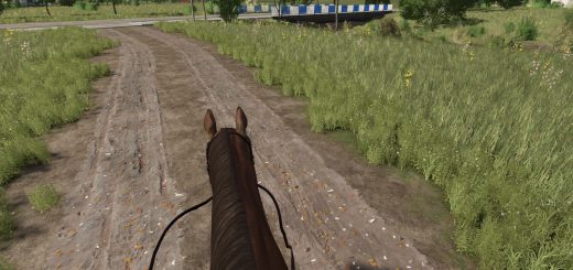 First Person Horse Riding Camera v1.0.0.0