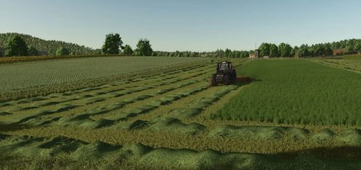 Grass Texture v1.0