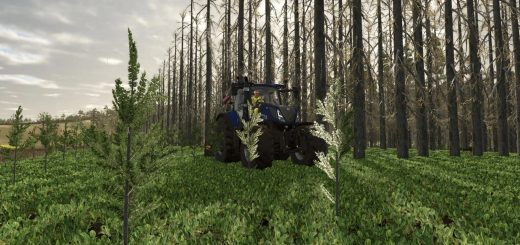 No Tree Limit v1.0.0.0