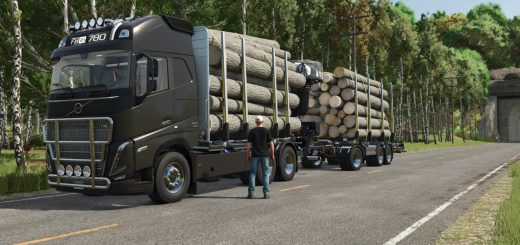 Timber Frame FH16 v1.0.0.0