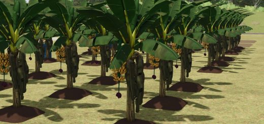 Banana Plantation v1.0