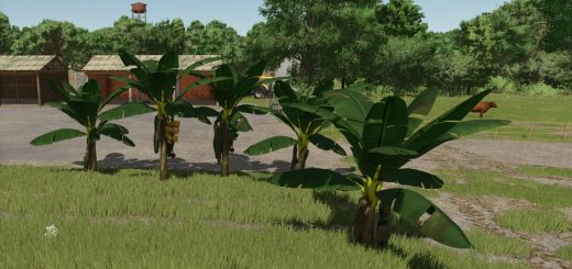 Banana Tree v1.0