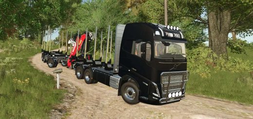 Forst LKW v1.0