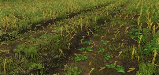 Maize Texture v1.0