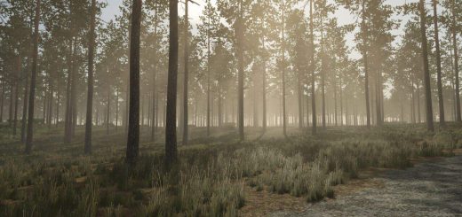 Pinewood Forest v1.0