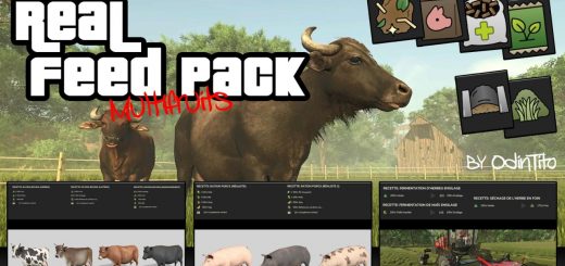 Real Feed Pack v2.0.0.2