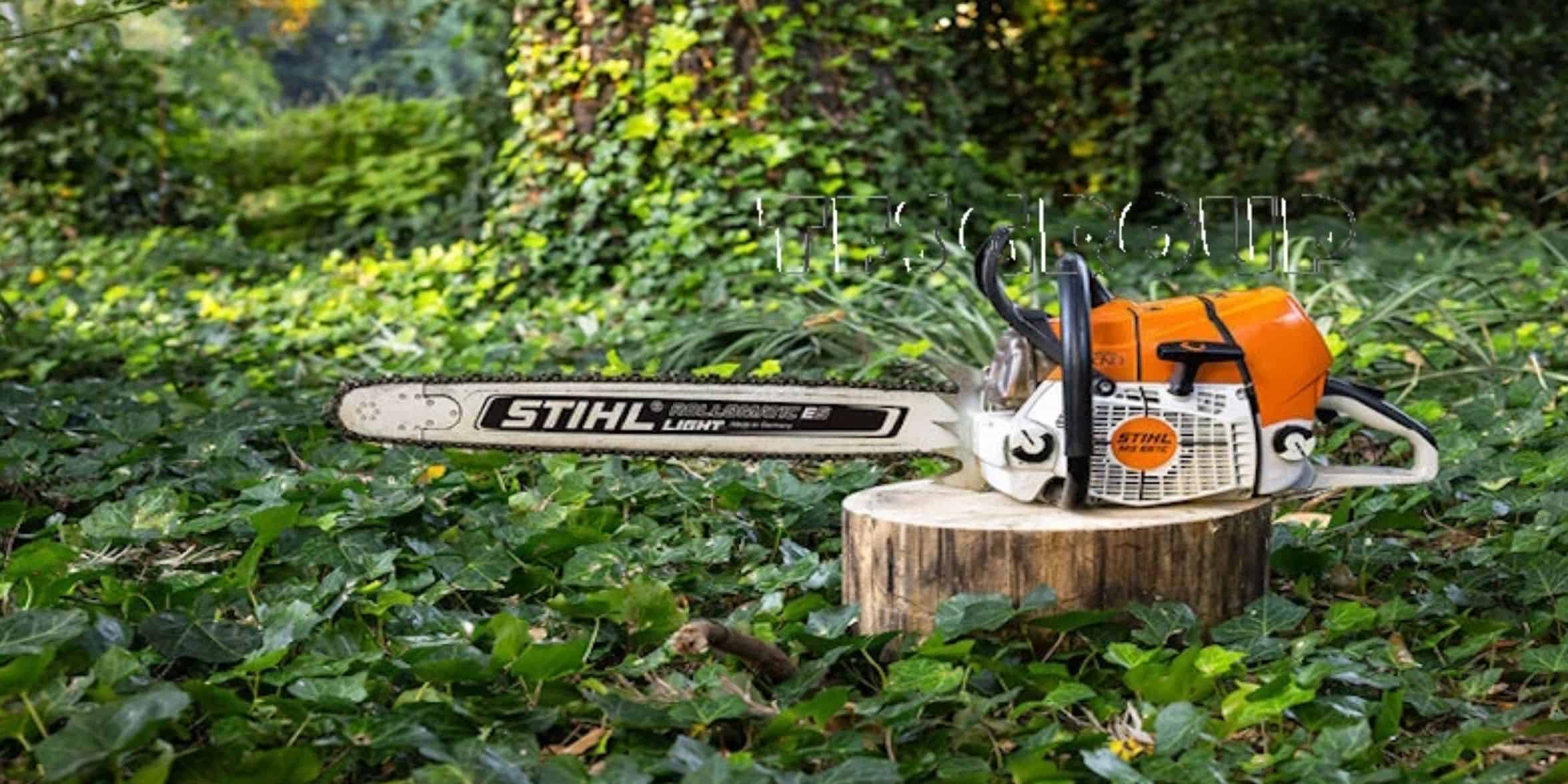 STIHL MS 661 v1.0