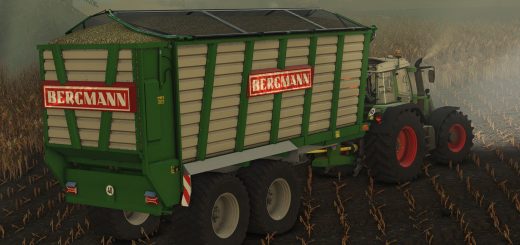 Bergmann HTW40 v1.0