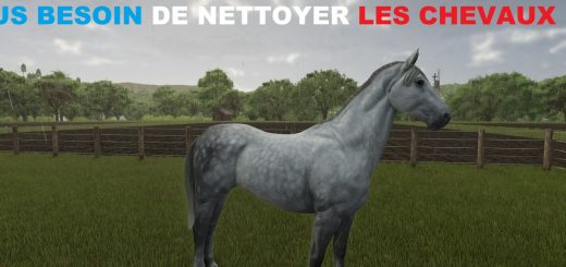 No need to clean horses anymore V1.0