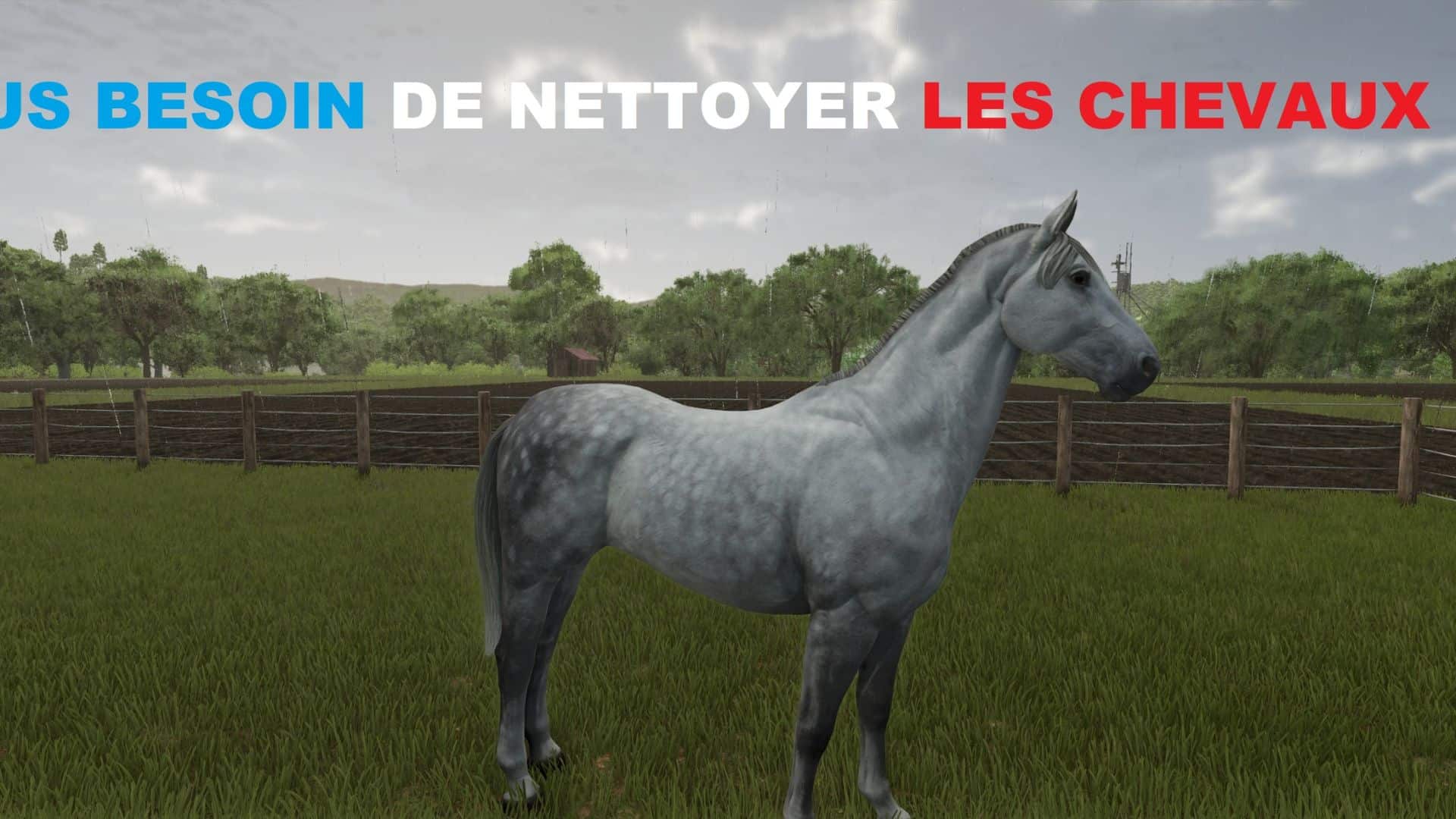 No need to clean horses anymore V1.0