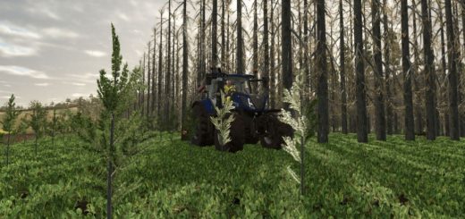 No tree limits V1.0