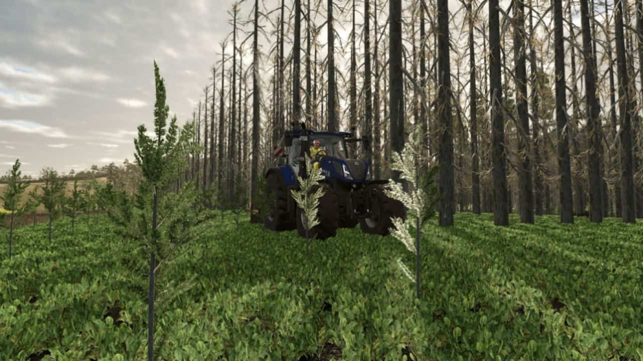 No tree limits V1.0