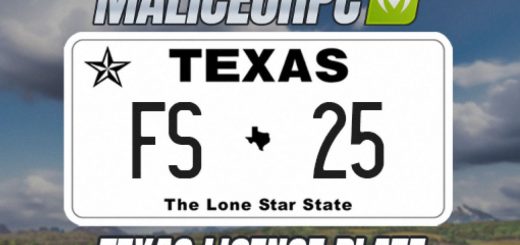 Texas License Plate v1.0