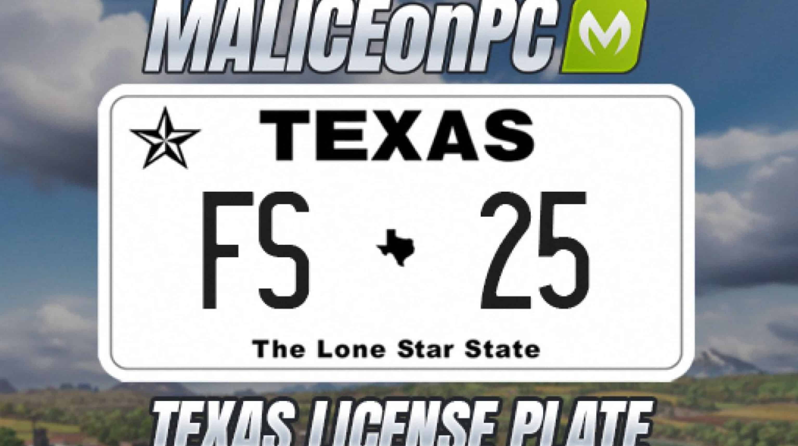 Texas License Plate v1.0