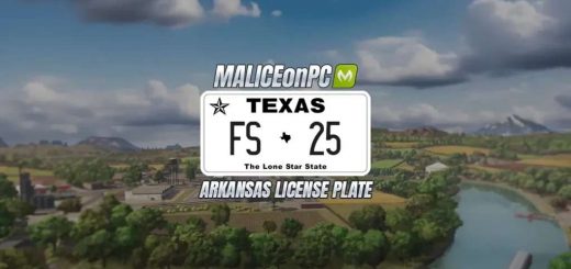 Texas License Plate v1.0