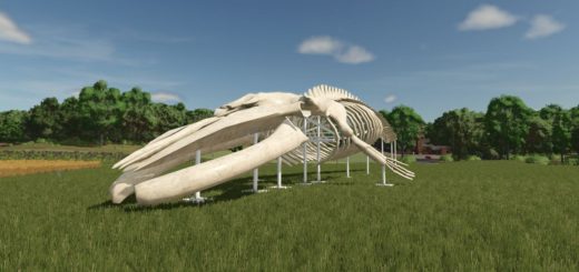 Whale Skeleton Sculpture v1.0