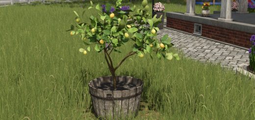 Lemon Tree v1.0