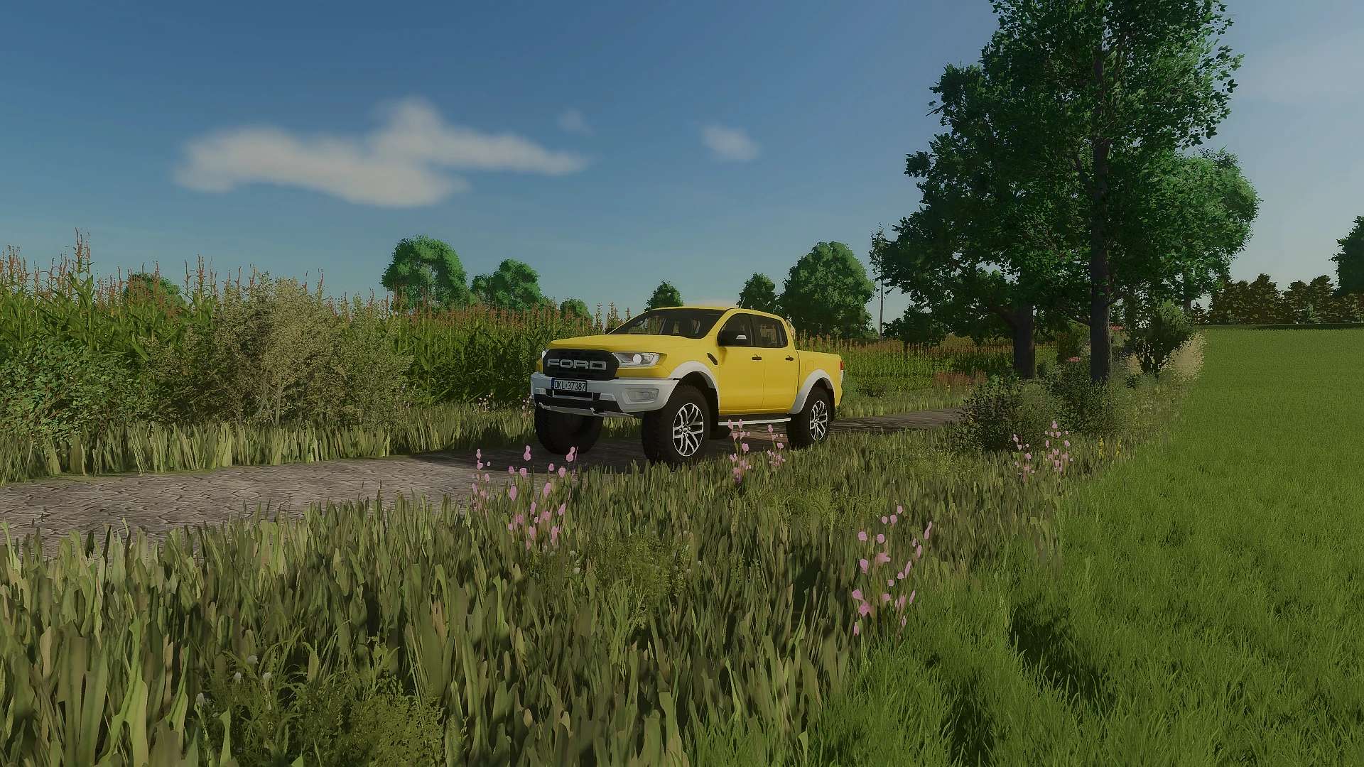 Ford Raptor 4×4 v1.0