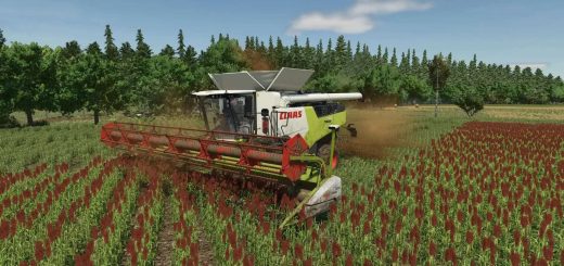 Sorghum Hirse Texture v1.0